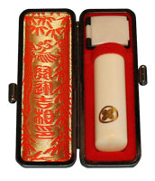 トカゲ革ケース